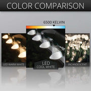 C7 Cool White Smooth OptiCore Commercial LED Christmas Lights, Lights