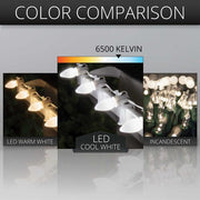 C7 Cool White Smooth OptiCore Commercial LED Christmas Lights, Lights