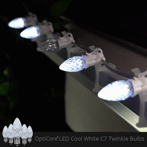 C7 Cool White Twinkle OptiCore Commercial LED Christmas Lights, Lights