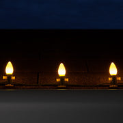 C7 Gold Smooth OptiCore Commercial LED Christmas Lights, Lights