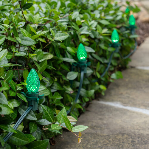 C7 Green OptiCore Christmas LED Pathway Lights, 100 Lights, 7.5 Inch Stakes, 100'