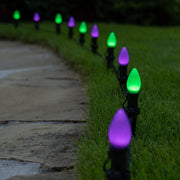 C7 Green / Purple Smooth OptiCore Halloween Pathway Lights, 50 Lights, 5 Inch PathPRO TM Stakes, 50'