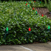 C7 Green / Red OptiCore Christmas LED Pathway Lights, 100 Lights, 7.5 Inch Stakes, 100'