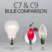C7 Multicolor Triple Dipped Transparent Bulbs
