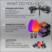 C7 Orange / Purple Smooth OptiCore Halloween Pathway Lights, 50 Lights, 5 Inch PathPRO TM Stakes, 50'