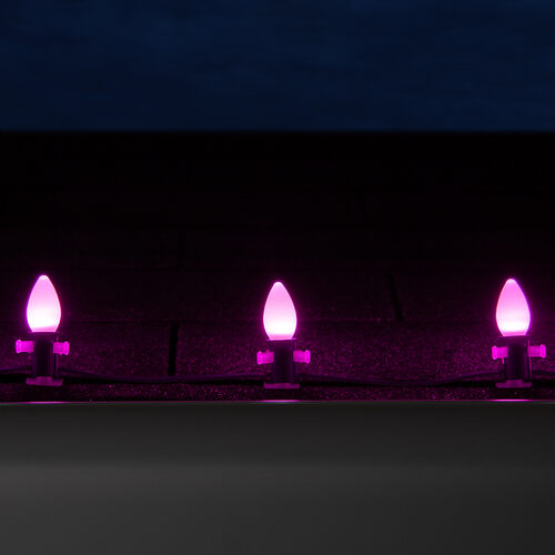 C7 Pink Smooth OptiCore Commercial LED Christmas Lights, Lights