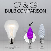C7 Purple Kringle Traditions® LED Bulbs