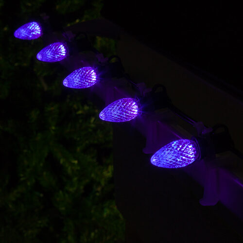 C7 Purple Kringle Traditions® LED Bulbs
