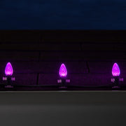 C7 Purple OptiCore Commercial LED Halloween Christmas Lights, Lights