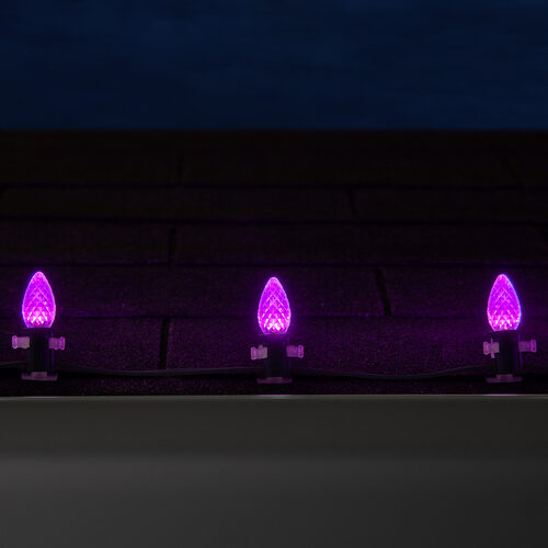 C7 Purple OptiCore Commercial LED Halloween Christmas Lights, Lights