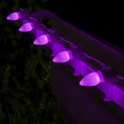 C7 Purple Smooth OptiCore Commercial LED Christmas Lights, Lights