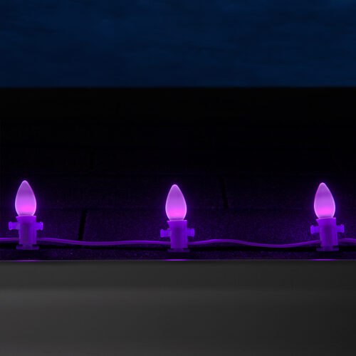 C7 Purple Smooth OptiCore Commercial LED Christmas Lights, Lights