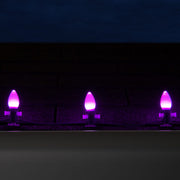 C7 Purple Smooth OptiCore Commercial LED Halloween Christmas Lights, Lights