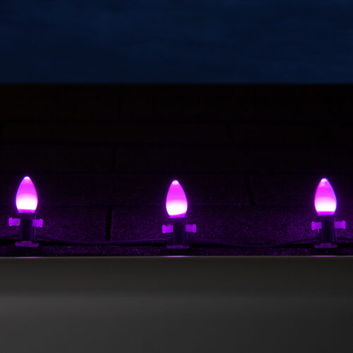 C7 Purple Smooth OptiCore Commercial LED Halloween Christmas Lights, Lights