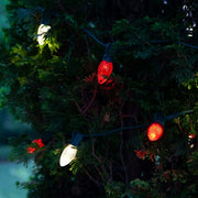 C7 Red Kringle Traditions® LED Bulbs