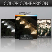 C7 Warm White OptiCore Commercial LED Christmas Lights, Lights