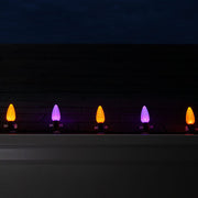 C9 Amber / Purple OptiCore Commercial LED Halloween Lights, 50 Lights, 50'