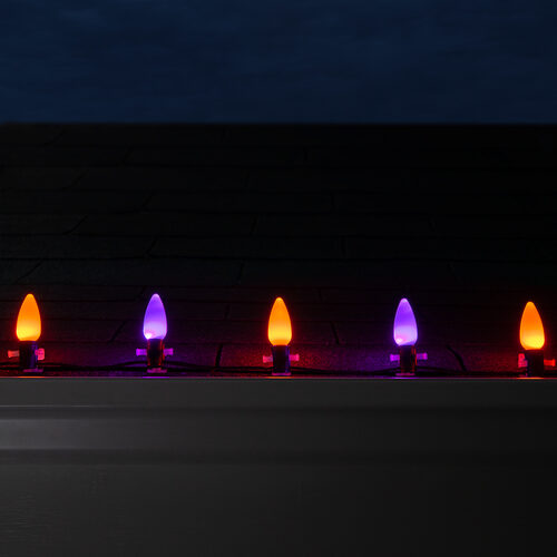 C9 Amber / Purple Smooth OptiCore Commercial LED Halloween Lights, 50 Lights, 50'