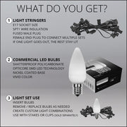 C9 Blue Smooth OptiCore Commercial LED Christmas Lights, Lights