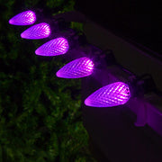 C9 Purple OptiCore Commercial LED Halloween Lights, Lights