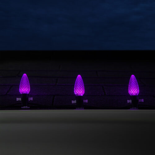 C9 Purple OptiCore Commercial LED Halloween Lights, Lights