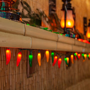 Chili Pepper Light Set, 35 Multicolor Lights