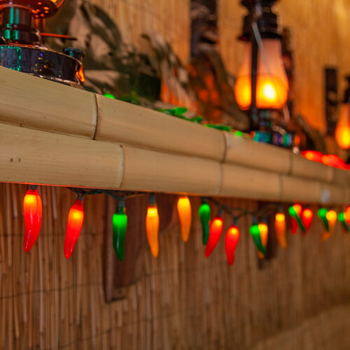 Chili Pepper Light Set, 35 Multicolor Lights