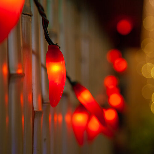 Chili Pepper Light Set, 35 Red Lights
