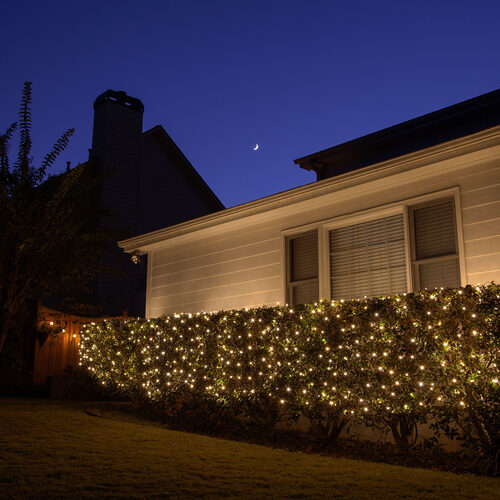 Commercial 4' 6' Mini Clear Mini Christmas Net Lights, 150 Lights on Green Wire