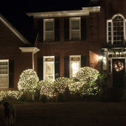 Commercial 4' 6' Mini Clear Mini Christmas Net Lights, 150 Lights on Green Wire