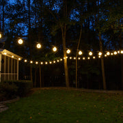 G125 Warm White LEDimagineTM Fairy Light Bulbs