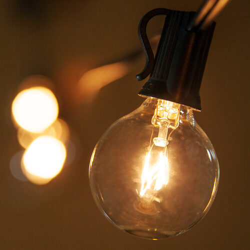 G40 Clear Transparent Globe Lights, E12 - Candelabra Base