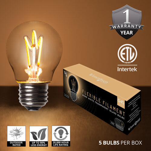 G45 Transparent Glass Warm White FlexFilament Globe Light LED Edison Bulbs