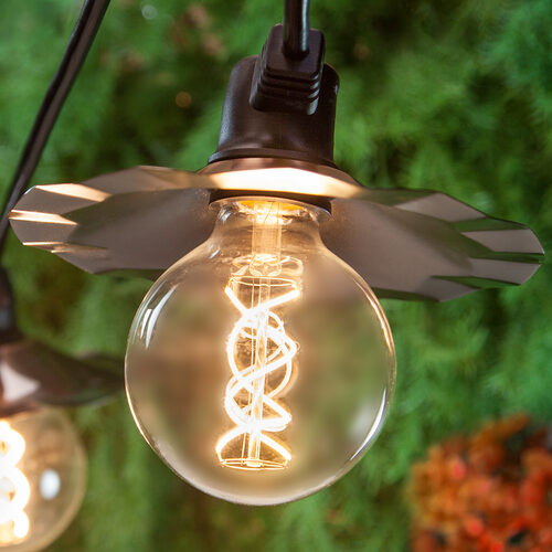 G95 Transparent Glass Warm White FlexFilament Globe Light LED Edison Bulbs