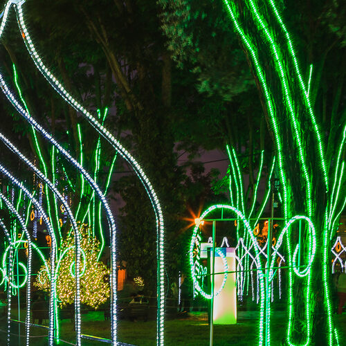 Green LED Rope Light, 150 ft