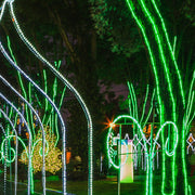 Green Rope Light, 18 ft