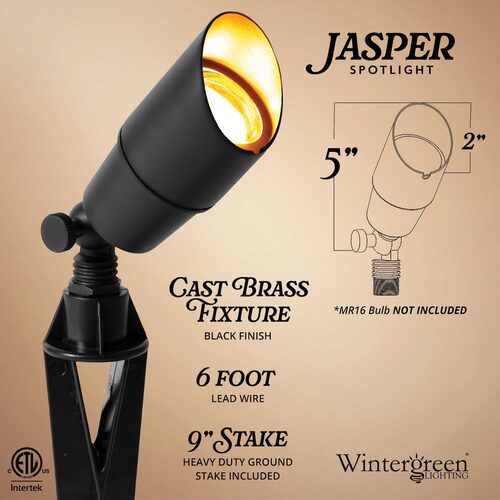 Jasper Low Voltage Landscape Lighting Outdoor Compact Spotlight, Black