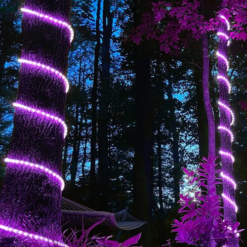 Purple Rope Light, 18 ft