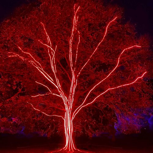 Red LED Rope Light, 18 ft