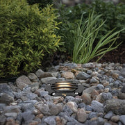 Savannah Landscape Well Light with Gravel Guard, Black