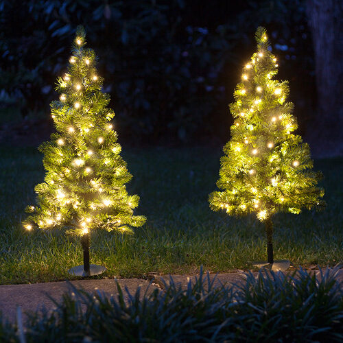 Winchester Fir Warm White LED Prelit Walkway Tree