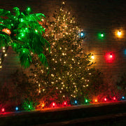 C9 Multicolor Triple Dipped Transparent Bulbs