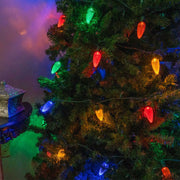 25 C9 Multicolor LED Christmas Lights, Green Wire, 8-inch Spacing
