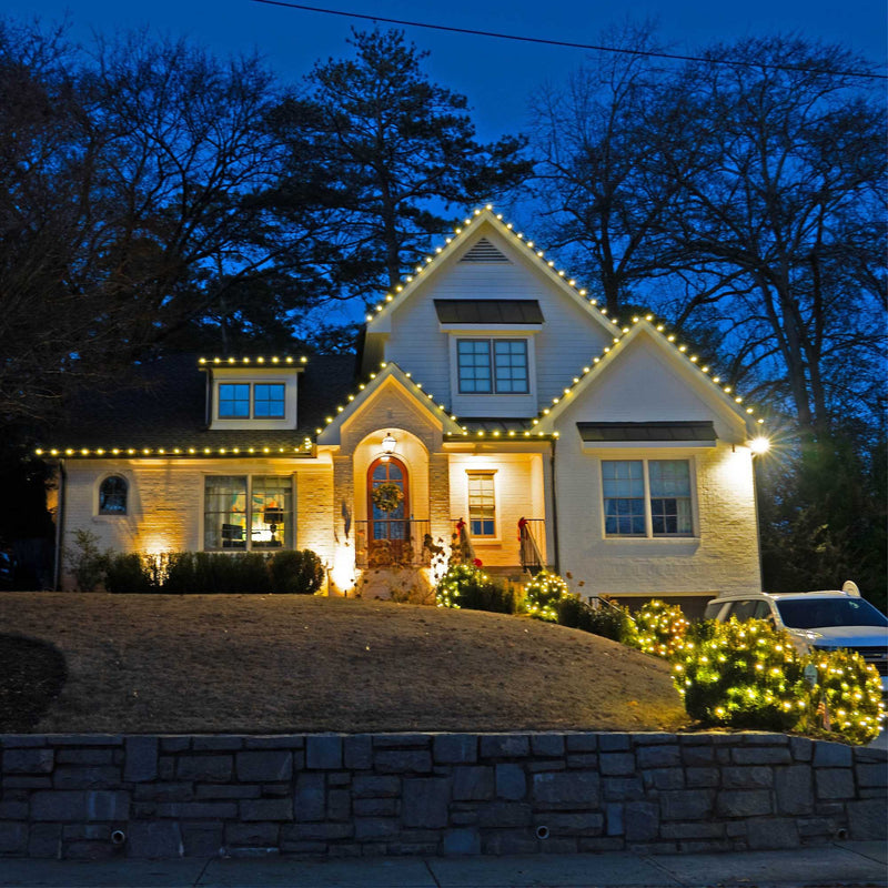 C9 Shatterproof Warm White FlexFilament LED Bulbs