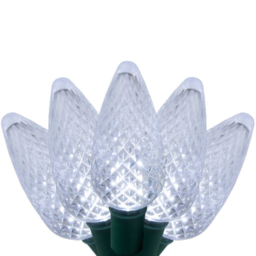 25 C9 Cool White LED Christmas Lights, Green Wire, 8-inch Spacing