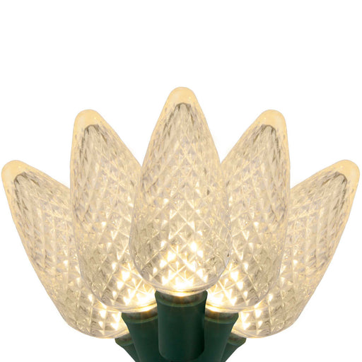 25 C9 Warm White LED Christmas Lights, Green Wire, 8-inch Spacing