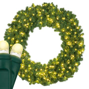 Sequoia Fir Prelit LED Wreath, Lux360 Warm White Lights