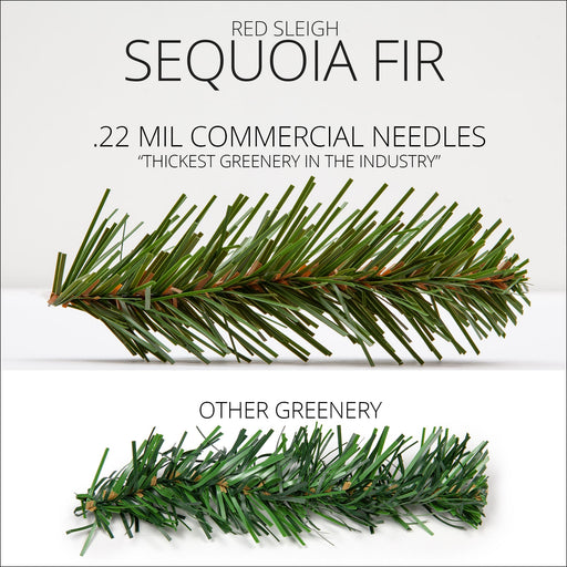 Sequoia Fir Prelit LED Wreath, SoftTwinkle Warm White Lights